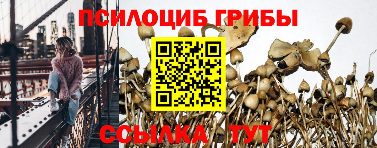 Галлюциногенные грибы MAGIC MUSHROOMS Моршанск